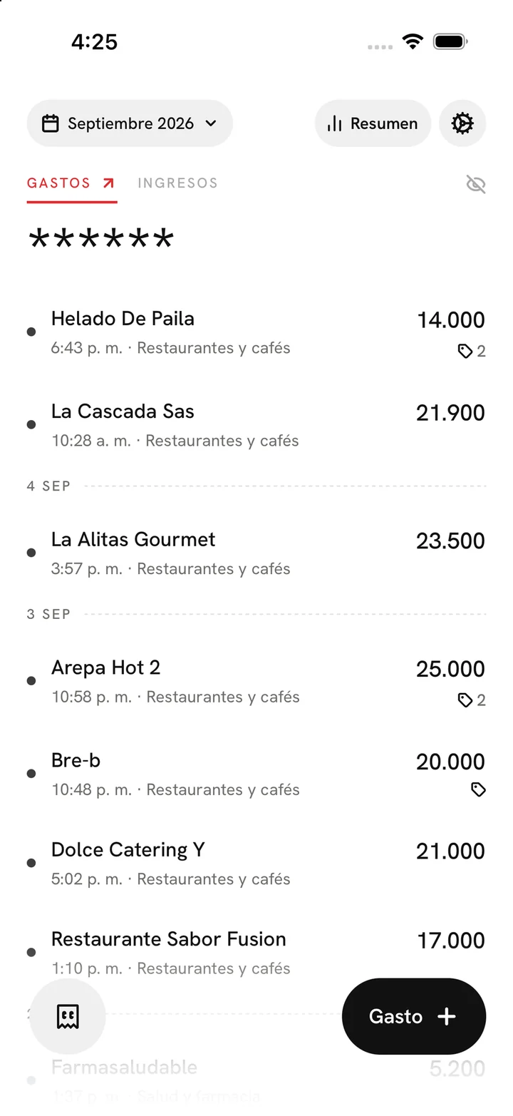 La lista de gastos del mes, cada uno con su categoría