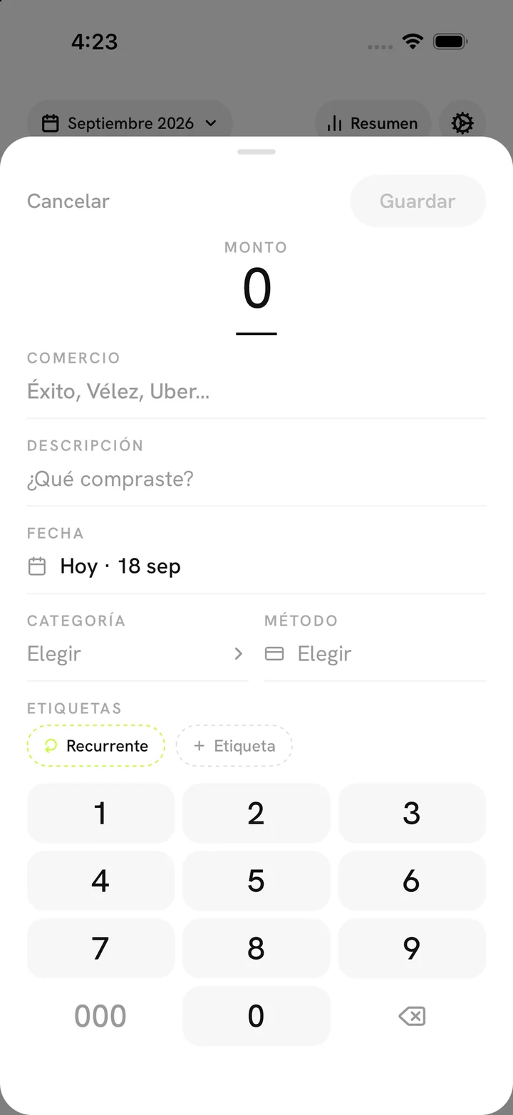 El registro manual: monto, comercio, fecha, categoría y etiquetas